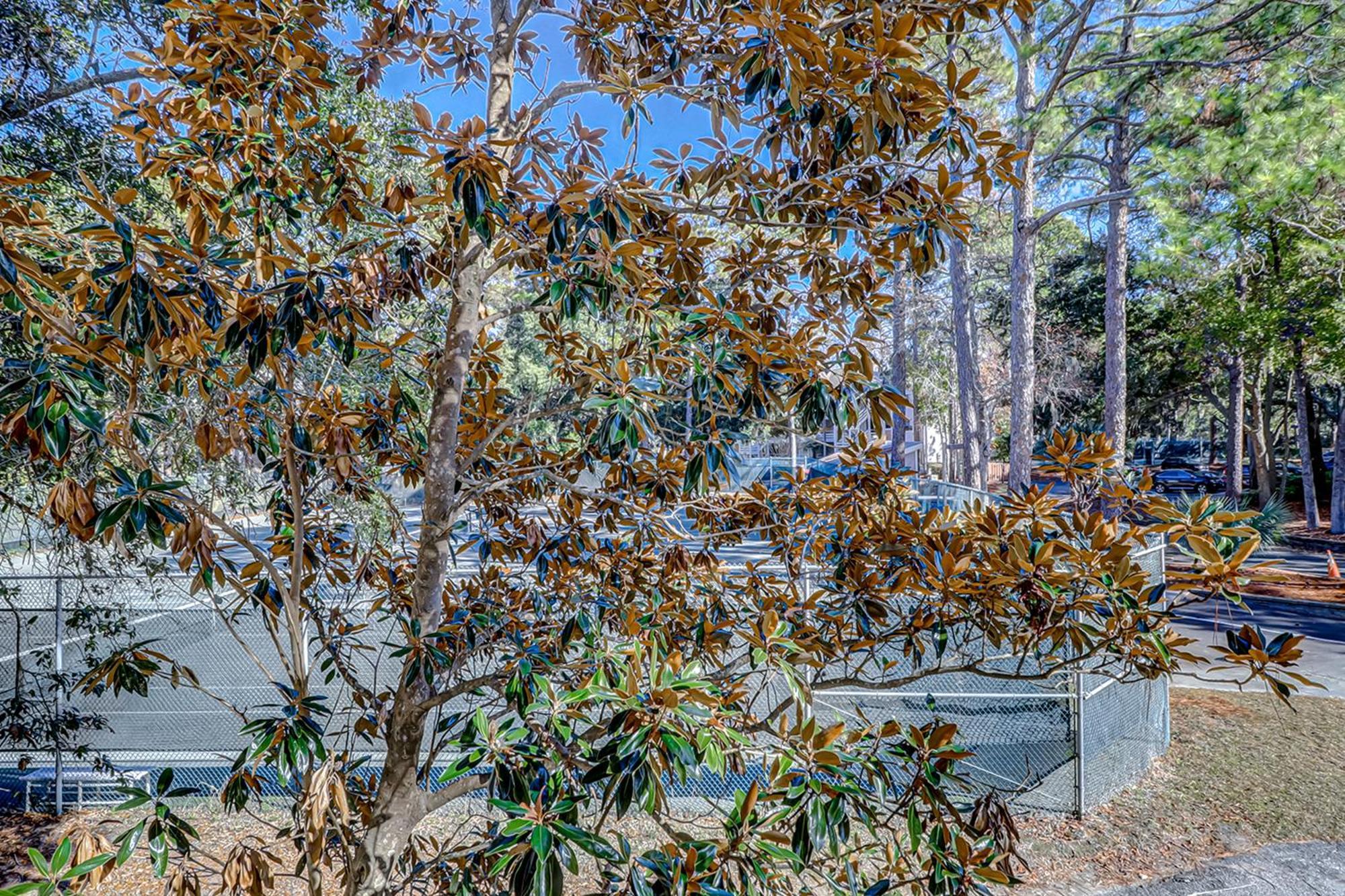 Fiddlers Cove Villa Hilton Head Island Phòng bức ảnh
